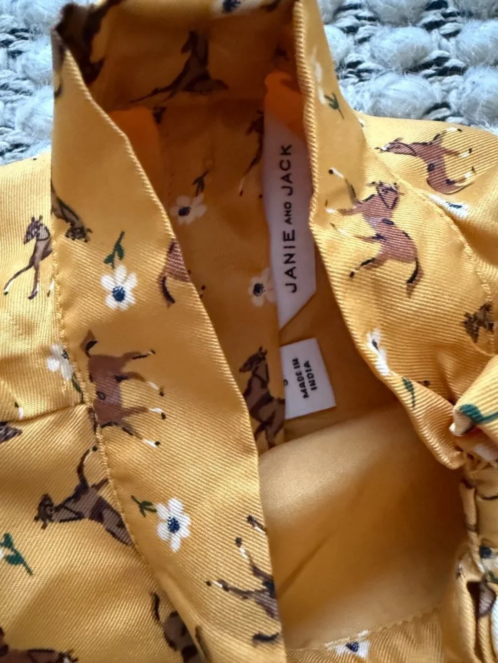 Janie and Jack Dress
